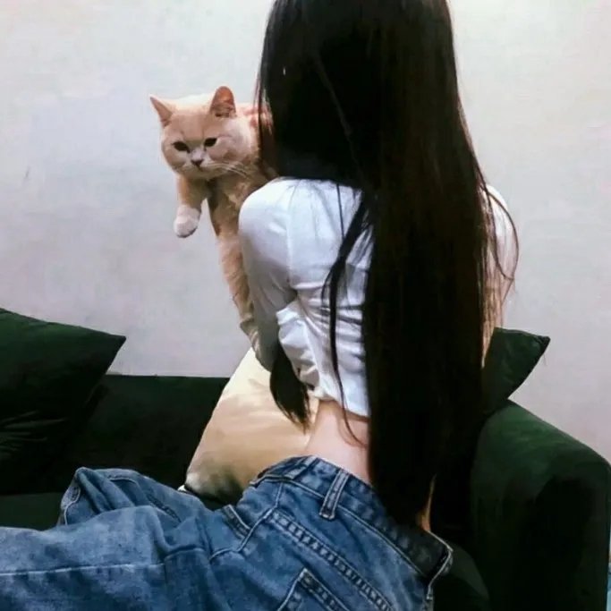 烛影危林